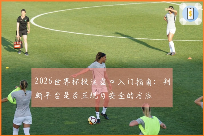 2026世界杯投注盘口入门指南：判断平台是否正规与安全的方法