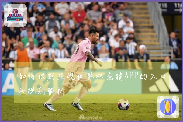 如何识别正规世界杯竞猜APP的入口和规则解析