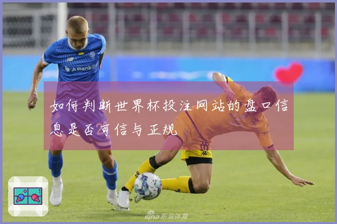如何判断世界杯投注网站的盘口信息是否可信与正规