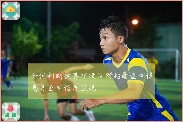 如何判断世界杯投注网站的盘口信息是否可信与正规