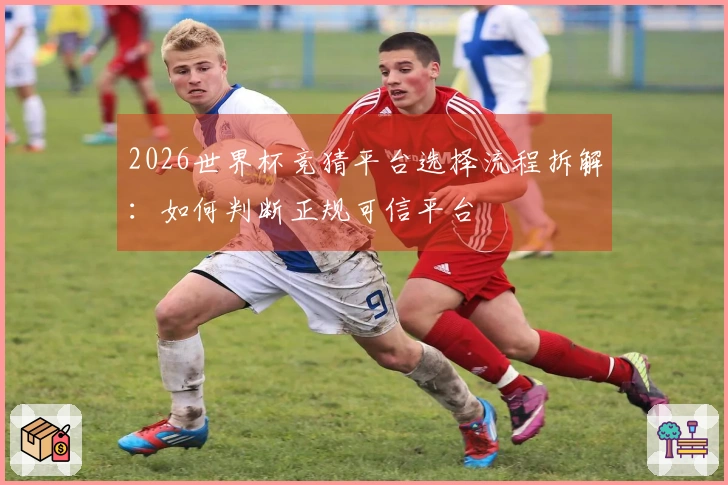 2026世界杯竞猜平台选择流程拆解：如何判断正规可信平台