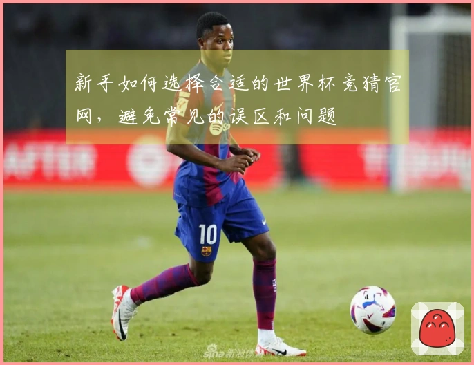 新手如何选择合适的世界杯竞猜官网，避免常见的误区和问题